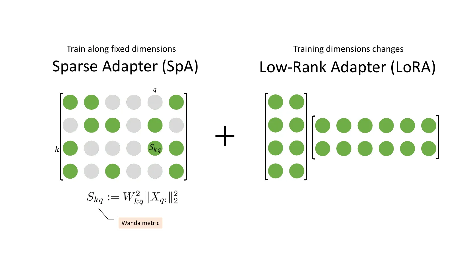 Comparison of a sparse adapter with a low-rank adapter for fine-tuning